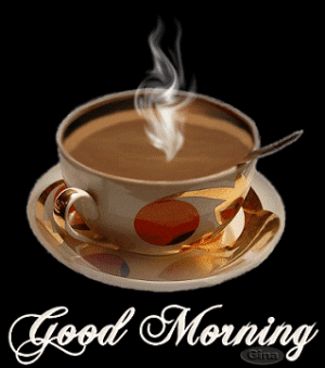 IMG_2534.gif