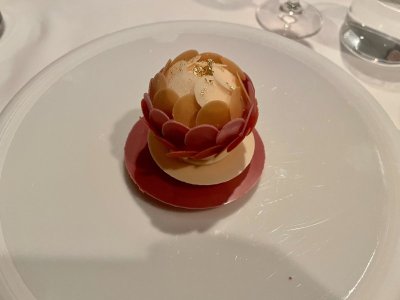IMG_3229.jpeg
