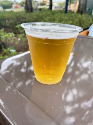 IMG_3238.jpeg