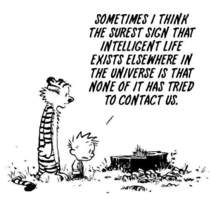 1697158250871.png