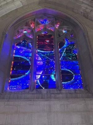 IMG_9816.jpeg