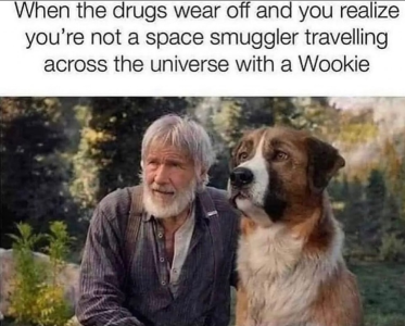 1697234770386.png