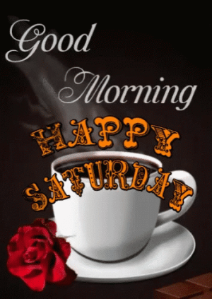 IMG_2544.gif