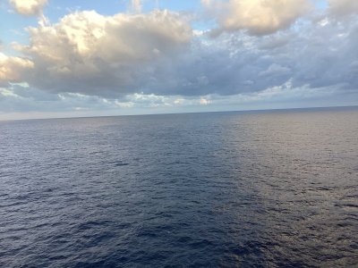 IMG_5017.jpeg