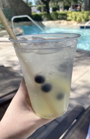 IMG_3305.jpeg