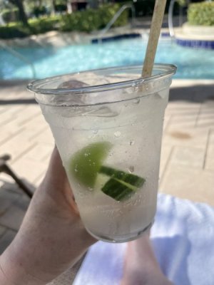 IMG_3306.jpeg