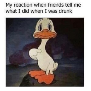 IMG_1507.jpeg