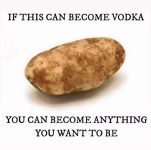 1697460621214.png
