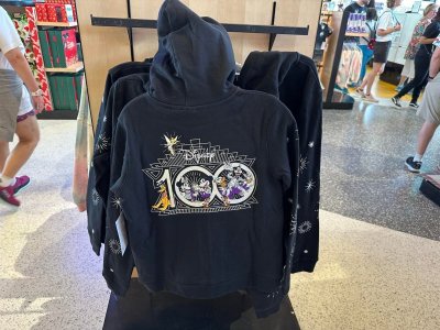 Disney-100-hoodie-back-1-scaled.jpg