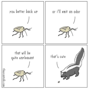 1697476213541.png