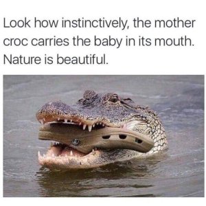 IMG_1619.jpeg