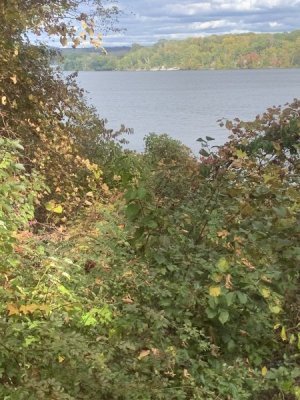 IMG_1797.jpeg