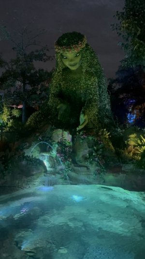 IMG_7233.jpeg