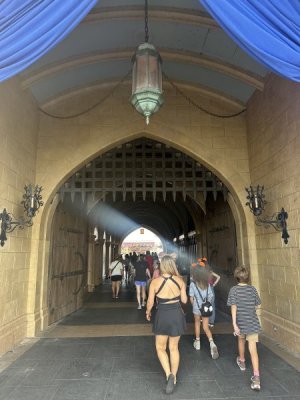 IMG_7211.jpeg