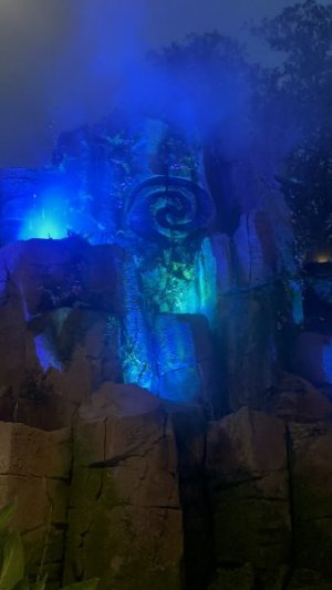 IMG_7219.jpeg