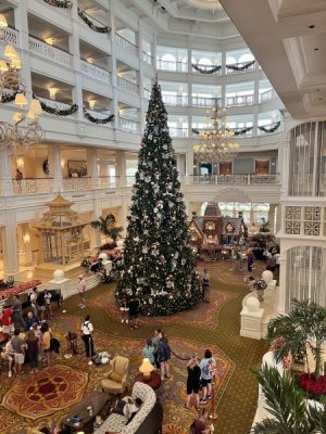 IMG_6963.jpeg