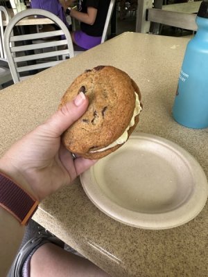 IMG_7242.jpeg