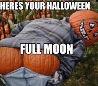 1697693615595.png