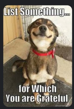 Screenshot_20231018_205440_Chrome.jpg