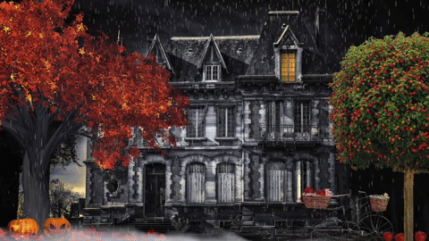 IMG_2583.gif IMG_2583.gif