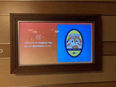 IMG_1656.jpeg