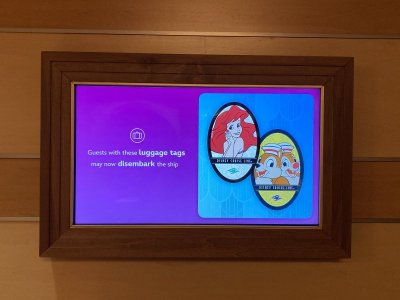IMG_1658.jpeg