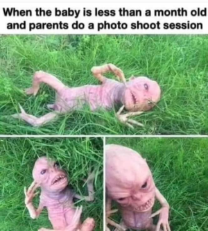 1697915053271.png