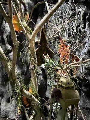 IMG_6750.jpeg