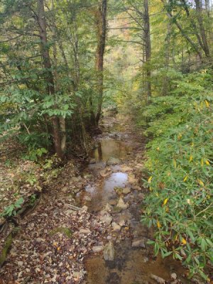 IMG_20231016_160616044.jpg