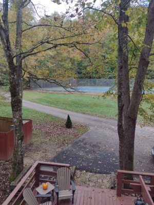 IMG_20231017_111901838.jpg