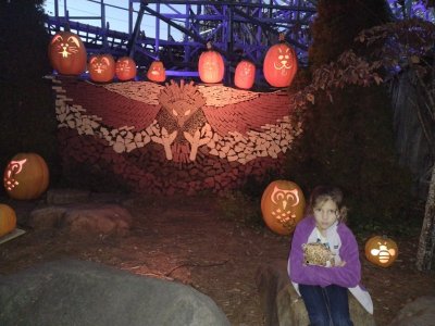 IMG_20231018_191315855.jpg