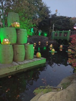 IMG_20231018_191222258.jpg