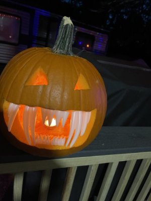 IMG_8183.jpeg