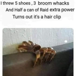 1698022418718.png