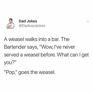 1698034830506.png