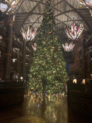 IMG_0587.jpeg