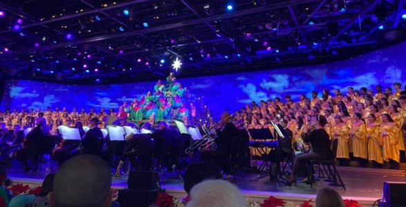 IMG_4072.jpeg