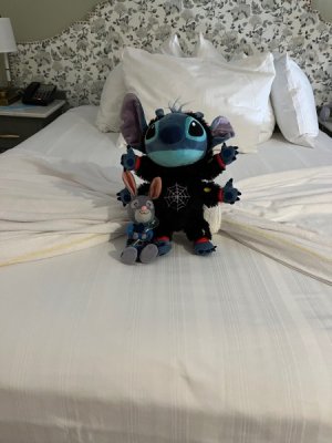 IMG_9573.jpeg