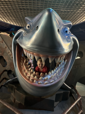 1698153547390.png