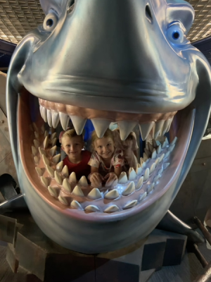1698153559400.png