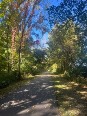 IMG_2816.jpeg