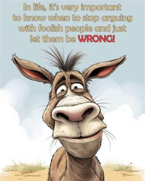 1698211938830.png