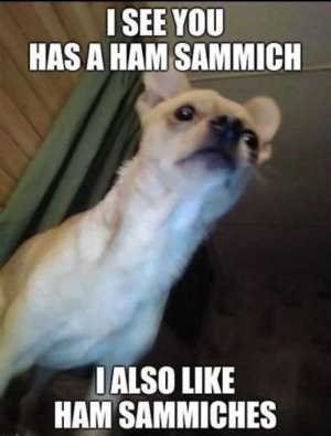 678F6AF6-E3D5-4D79-8D68-CB423C79F8E7.jpeg