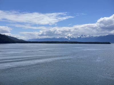 IMG_2452.jpeg