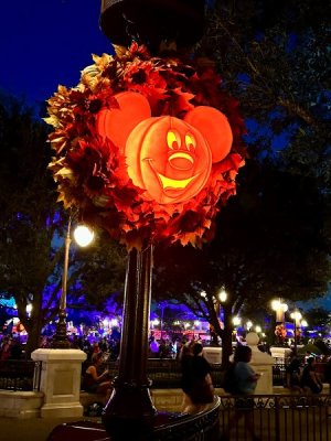 IMG_2023-10-26-202825.jpg