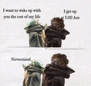 1698379156502.png
