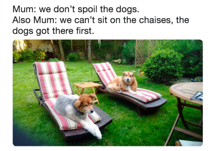 1698472675771.png