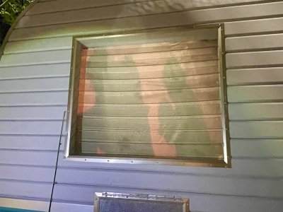 IMG_6853.jpeg
