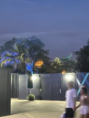 IMG_3764.JPG