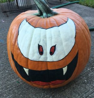 IMG_9718.jpeg